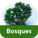 Woodlands, Forests, Mountains and Deserts. Visual Encyclopaedia of Que